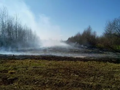В Житомирской области вторые сутки горят торфяники