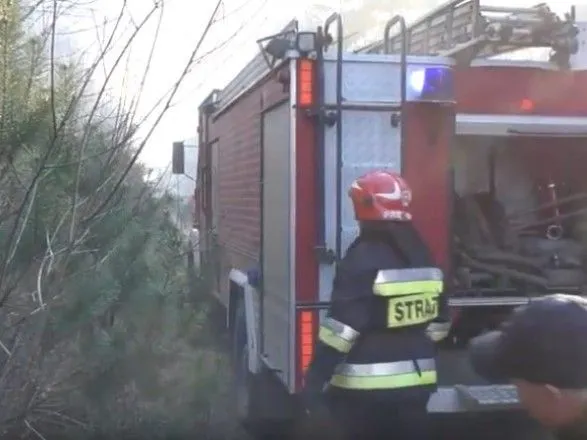 В Львовской области на границе с Польшей случился лесной пожар