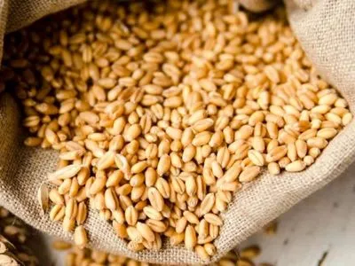 У ВР зареєстрували законопроект Кабміну про тимчасові ставки ввізного мита на окремі види зернових