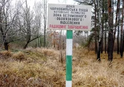 Чорнобильській ліс горить щороку через людський фактор - ДСНС