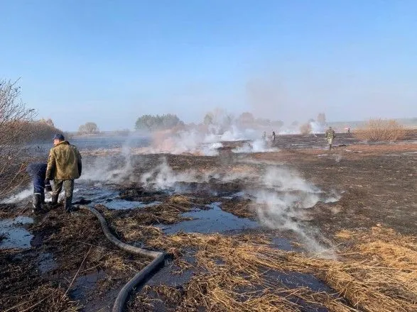 Вокруг Киева горят три торфяника