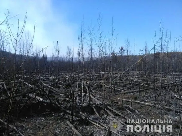 В Чернобыльской зоне до сих пор пожар на 10 гектарах травы и леса