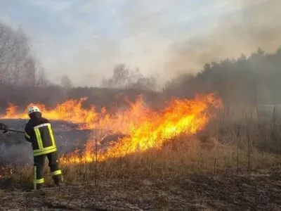 В Житомирской области открыли дело из-за поджога травы, повлекшего лесные пожары