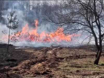 В ГСЧС рассказали об основных причинах возникновения пожаров в экосистемах