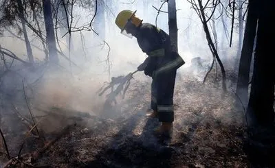 На Житомирщині рятувальники не встигли загасити підпал трави, як громадяни знову її підпалили