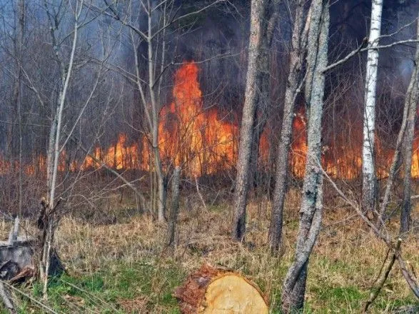 У Чорнобильській зоні продовжується гасіння пожеж на окремих ділянках