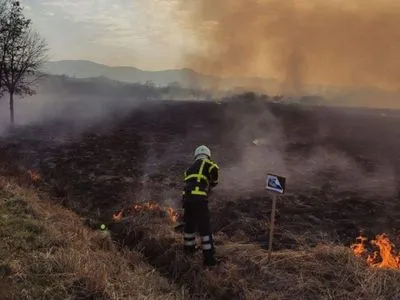 На Житомирщині продовжують гасити лісові пожежі