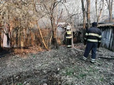 Пожар в зоне отчуждения: радиационный фон в Киевской области не превышает естественных фоновых значений