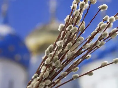 Православные сегодня празднуют Вербное воскресенье