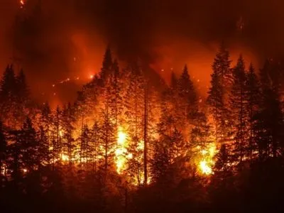 Держлісагентство зафіксувало 33 великі лісові пожежі