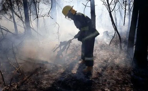 На Тернопільщині впіймали чоловіка, який підпалив суху траву та спалив зелені насадження