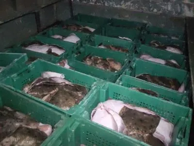 В Азовському морі затримали браконьєрів з уловом на мільйон гривень