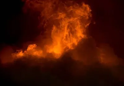 В Житомирской области пожар на территории одного из лесничеств распространился на 35 га