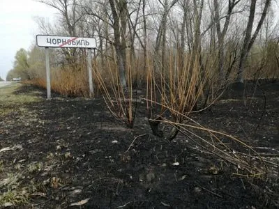 Германия передает Украины спецоборудование для локализации пожаров вокруг ЧАЭС