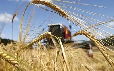 Експерти цього року прогнозують низький врожай зернових в Україні