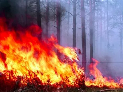 В Україні набув чинності закон про нові штрафи за спалювання трави