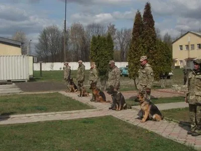 В ВСУ подготовили 11 кинологов, которые будут обучать собак сторожить важные военные объекты