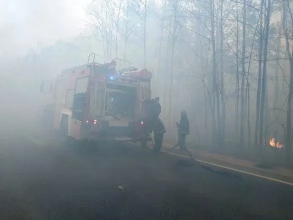 Евакуйовані під час пожежі на Житомирщині повернулися до поселень відновлювати житло