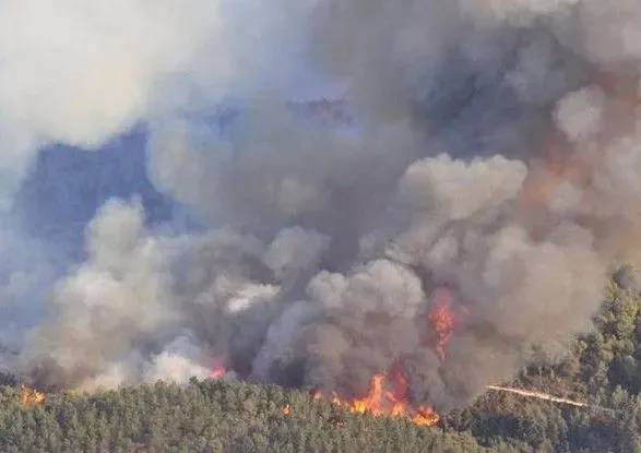 В Житомирской области пожар уничтожил четыре гектара леса и десятки зданий