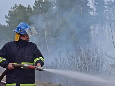 В Чернобыльской зоне продолжается тушение трех очагов пожара - ГСЧС