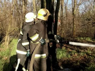 В Днепропетровской области ликвидировали возгорание сухостоя
