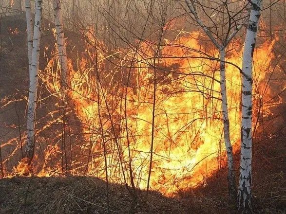 На Житомирщині знову загроза масштабної лісової пожежі: для гасіння вогню залучили авіацію