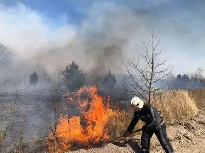 Крупный пожар в Киевской области: поджигателя задержали