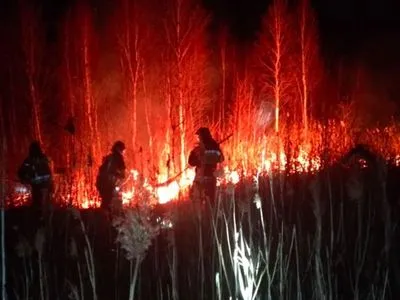 У найбільшому національному парку Польщі тривають масштабні пожежі