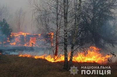 Пожары в Житомирской области: открытого огня в очагах нет