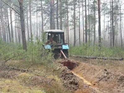 В Житомирской области ликвидировали еще один очаг пожара в лесу