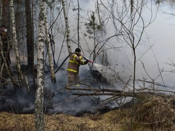 Пожарные локализовали пожар вблизи села в Житомирской области
