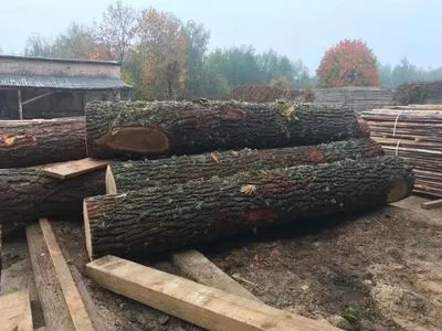 Украина наращивает экспорт изделий из древесины - Гослесагентство