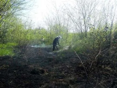 В Днепропетровской области сгорели 2 га поля сухостоя