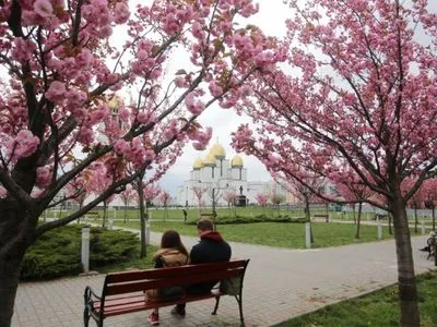 Парк у Львові потопає у цвітінні сакур