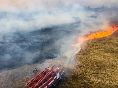 Вогонь пошкодив близько 5% Чорнобильського заповідника