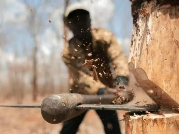 На Харківщині судитимуть “чорних лісорубів”, які завдали збитків на суму понад 5 млн грн