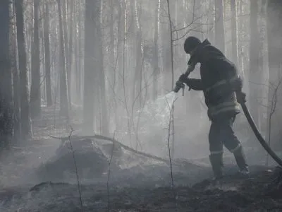 Пожарные локализовали лесные пожары в Киевской и Житомирской областях