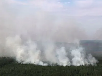 В Сибири начались масштабные лесные пожары