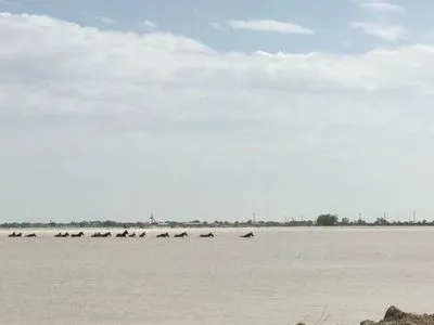 В Казахстане эвакуировали 22 тысячи человек из-за прорыва дамбы в Узбекистане