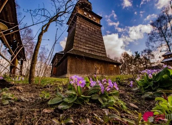 Весна в гаю: показали атмосферне відео зі Львова