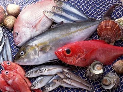 Украина в январе и феврале экспортировала живой и охлажденной рыбы на более чем 147 тыс. долларов