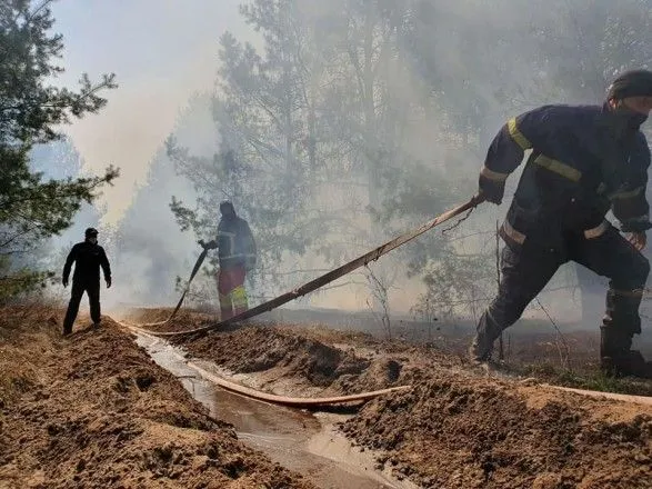 ГСЧС: в Житомирской области ликвидирован пожар в заповеднике, а в Зоне отчуждения продолжает тлеть торфяник