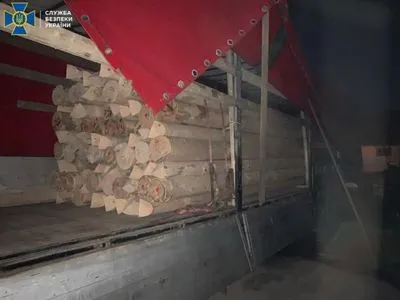 На Закарпатті блокували мільйонну схему вивезення деревини до ЄС