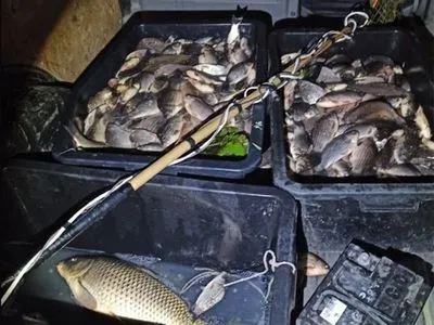 На Хмельниччині виявили браконьєра, який у період нересту електровудкою виловив 110 кг риби