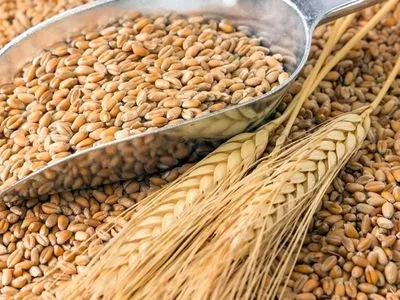 В України є 6-місячний запас пшениці, тож немає потреби обмежувати експорт – Шмигаль