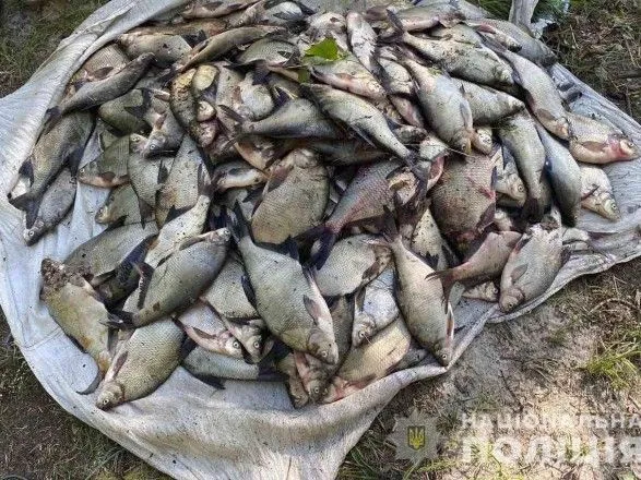 Полицейские изъяли у браконьеров рыбы более чем на 200 тысяч гривен в Кировоградской области