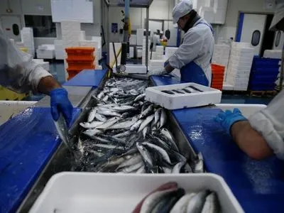 За два місяці Україна експортувала 421 тонну рибного філе, найбільше - до Німеччини