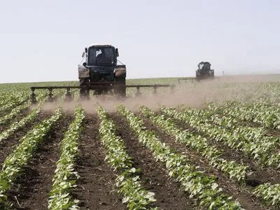 В Україні на 5% зменшилися посівні площі під цукровими буряками