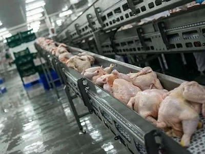 Експорт української курятини до ЄС істотно "просів", але утримується у ТОП-5