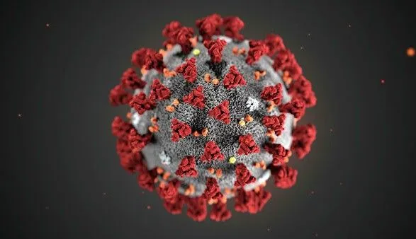 Вчені в США заявили, що виявлено антитіло, яке повністю блокує коронавірус